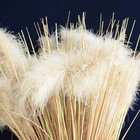 Buque De Pluma E Folhas Outonadas | Linha Permanente Formosin